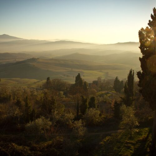 Gorgeous Nature