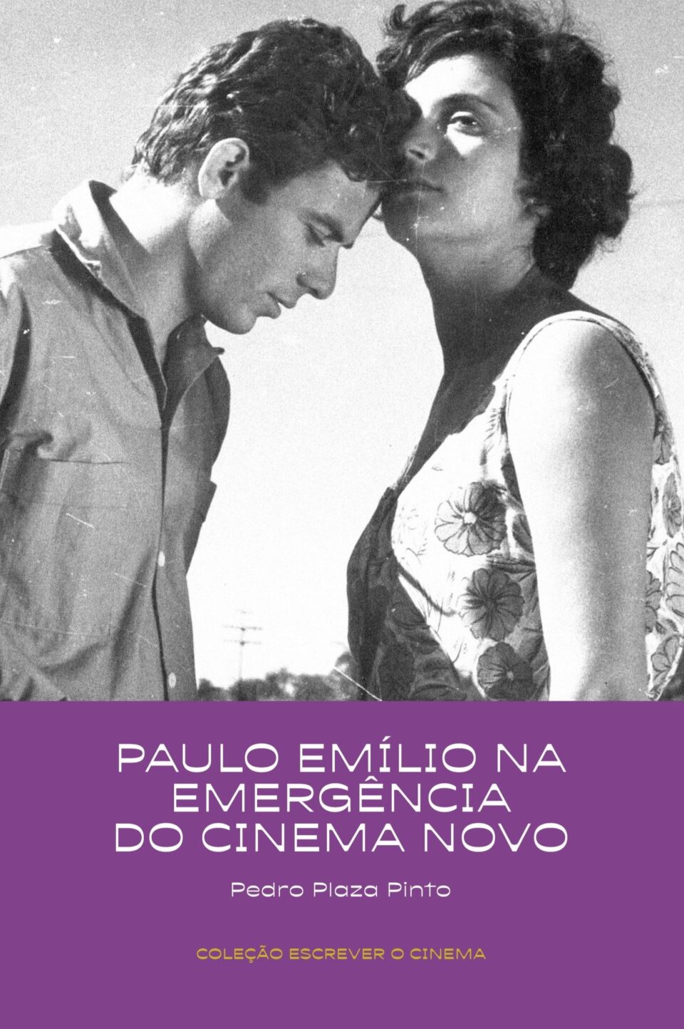 Coleção Escrever o Cinema